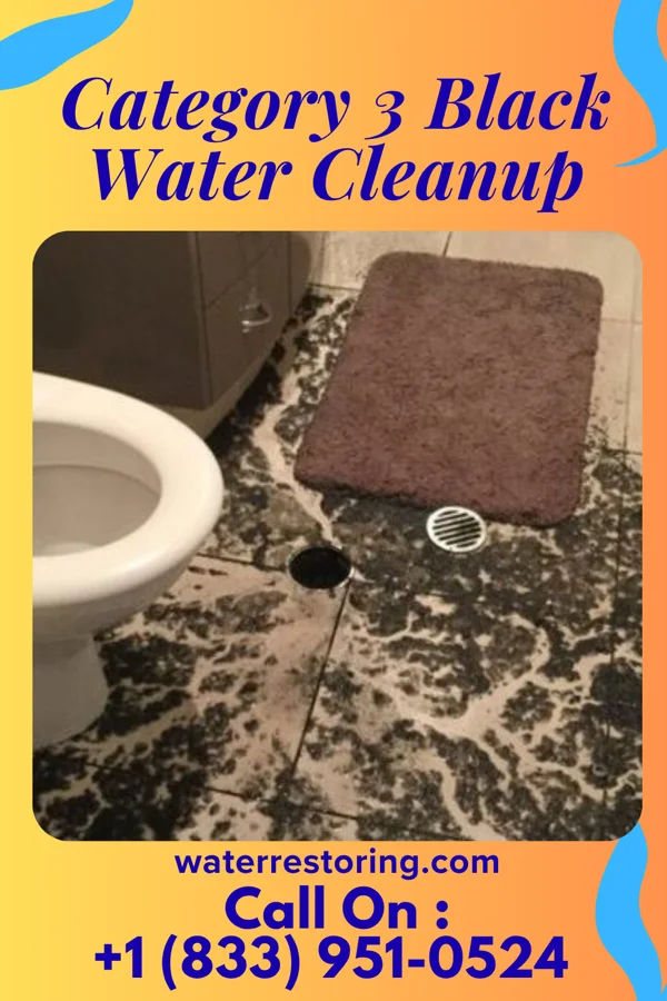 Category 3 Black Water Cleanup in Brimfield, OH